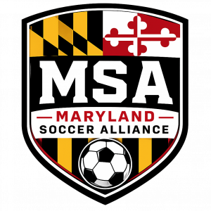 MSA Fall League